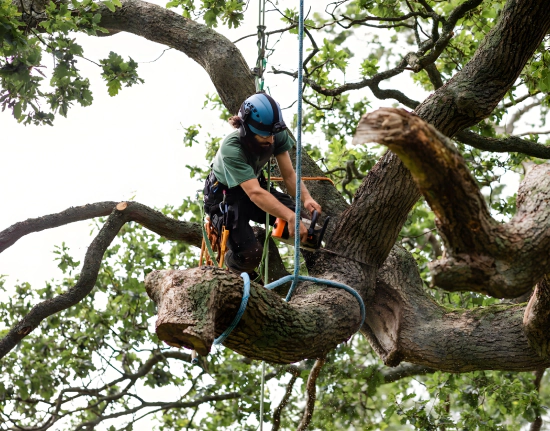 Built on Skill, Safety, and Consistent Results (Content Image)