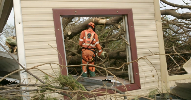 Hazardous & Storm Damage Tree Services Card