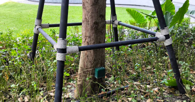 Tree Bolting & Structural Support Services Card