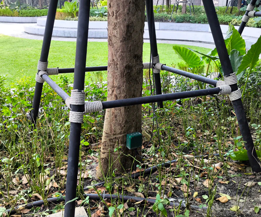 Tree Bolting & Structural Support Services